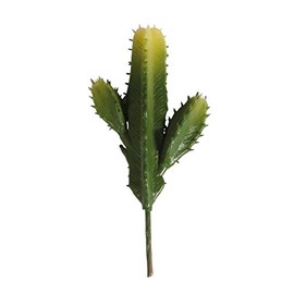 Rayher 55779000Â Column Cactus