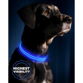 Illumiseen LED Dog Collar USB Rechargeable - Bright & High Visibility Lighted Glow Collar for Pet Night Walking - Weatherproof, in 6 Colors & 6 Sizes (Blue Small)