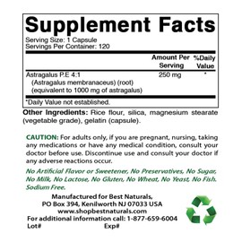 Best Naturals Astragalus Extract 1000 Mg 120 Capsules (120 Count (Pack of 2))