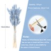 VirtuGro 120pcs Bunny Tails Dried Flowers Grey Blue Pampas Grass