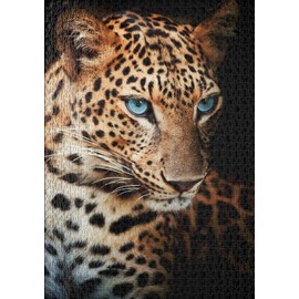 Ulmer Puzzleschmiede - Puzzle "Leopard" - Classic 1000 Piece Puzzle, Made in Germany - Puzzle Motif Animal Portrait of an Elegant Leopard for Predatory Cats and Predator Fans