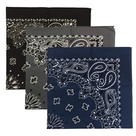 USA Made Military Army Trainmen Paisley 22 / Hav A Hank Paisley Bandana Made in USA (Set of 3) (A BK-CH-NV)