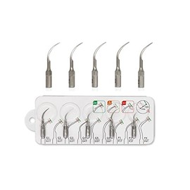 Punta dental mixta P1  10 ajuste de escala EMS, pájaro carpintero