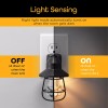 EcoScapes Vintage Black Cage LED Night Light 2 pk.