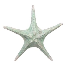 Ebros Large Jumbo Ocean Coral Sea Star Shell Starfish Statue 11.25" Long Nautical Coastal Themed Decor for Wedding Beach Party Home Decorations DIY Crafts Fish Tank Collectors