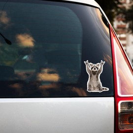 Raccoon Decal, Raccoon gifts for women,men Sticker Decal, Christian Sticker, Rear View Mirror Decal, Faith Car Mirror Decal,