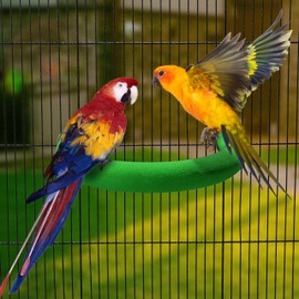 TeTupGa U Shape Parrot Perch Stand Pet Toy Bird Platform Sand Paw Grinding Clean Stick Cage Exercise Conure Budgie Cockatiel Accessories (Green Large)