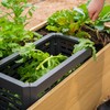Metal In-Ground Worm Composter, in-Bed Composting Bins for Raised Garden