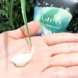 Molt Die Cut Loretta Special Day Hair Treatment – 150g