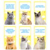 ZZBUY Cats Against Anxiety Cards, 50 Affirmation Cards for Anxiety