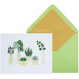 NIQUEA.D Boxed Note Cards, Houseplants, Includes a Blank Customizable Interior and Coordinating Envelope, Set of 10 (NBB-0015)