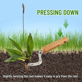 panemy Weed Remover, Garden Tools, Root Weeder with Wooden Handle with Measure, Weeder Weeder, Weeder Stainless Steel for Digging, Weeding, Loosening, Plantation Gift for Gardeners