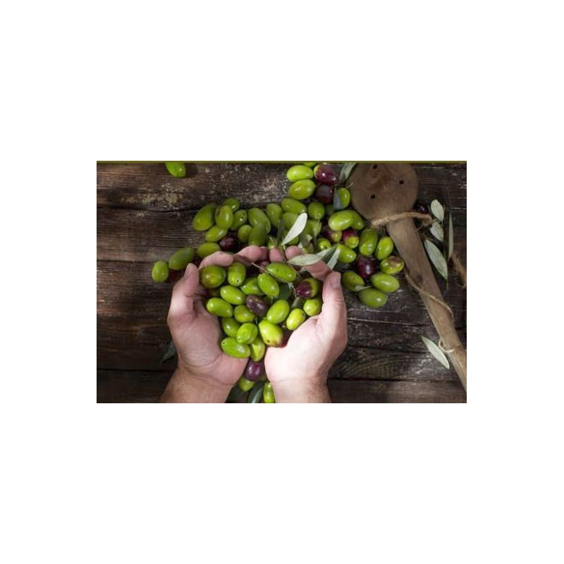 Kitchsy Sparta Gold Extra Virgin Olive Oil, 1Liter, Premium Quality