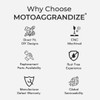 Motoaggrandize Fork Protectors for Kawasaki Ninja 650 and Z 650