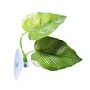 SunGrow Betta Fish Leaf Hammock, Twin Leaf Design with Suction