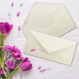 NEUSER PAPIER 75x envelopes DIN long 11 x 22 cm wet glue color: cream 80 grams per m² without window