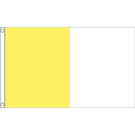 Saffron and White Irish County Flag - 5 x 3 FT - 100% Polyester With Eyelets Banner - FlagSuperstore