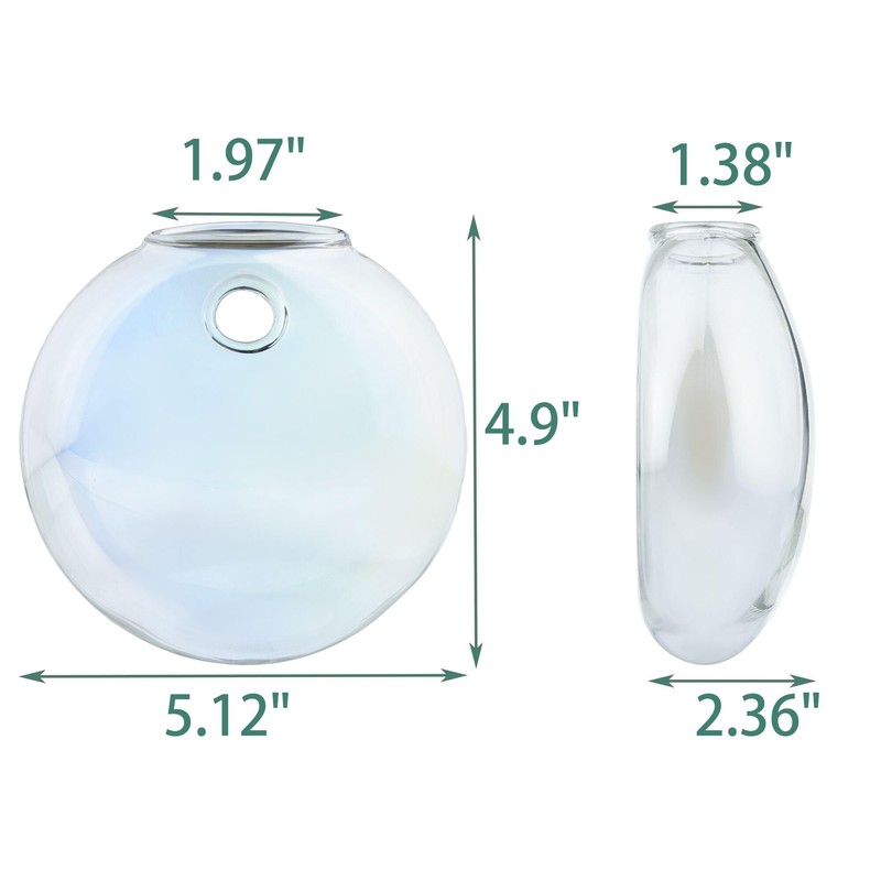 OQUQO 4 pcs Glass Wall Hanging Planter, Oval Terrarium Vase,