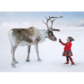 Psaris Productions Girl and Reindeer Christmas Cards Boxed With Envelopes Set of 12 Holiday Cards and 12 Envelopes. Made in USA.