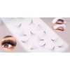 500 Fans | Eyelash Extensions Supply | Premium Premade Promade