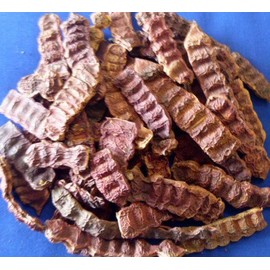 Acacia Concinna Fruit Pods Shikakai Ancient Shampoo Hair Cleanser 500gm - 1.1 Lb by Shikakai