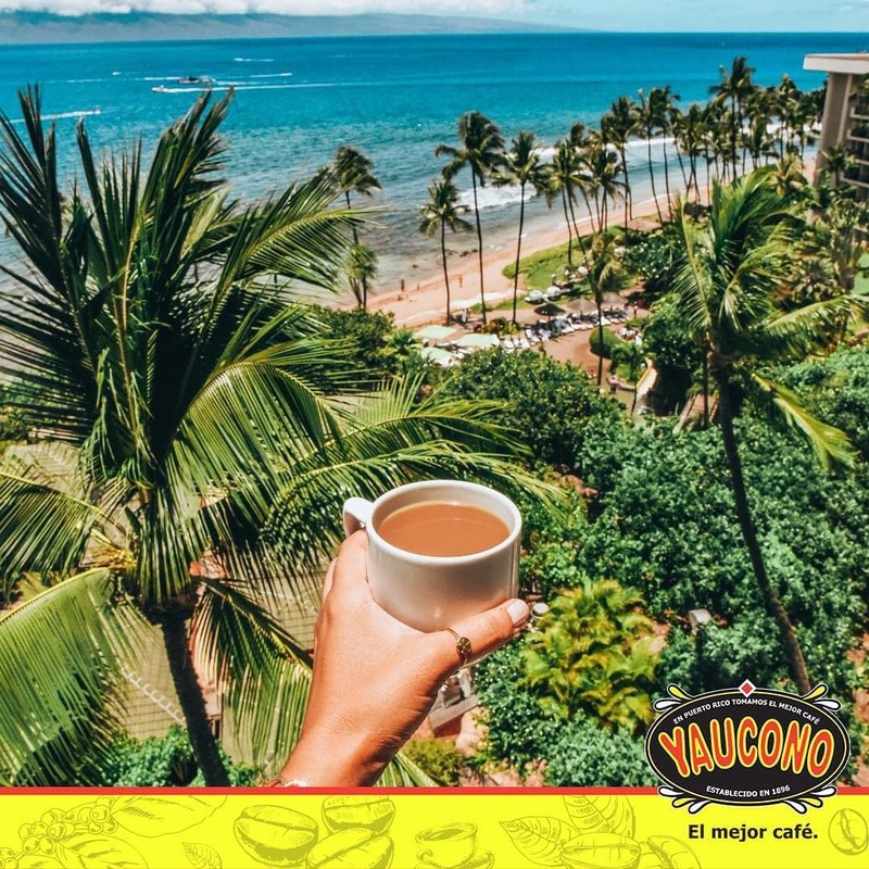 Yaucono Whole Bean Coffee in Bag, Medium Roast, Fresh From