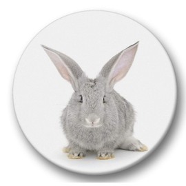 Merchandise for Fans 04 Large Fridge Magnets for Memo Board / Notice Board / Whiteboard / Pack of 6