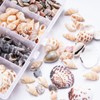 Tiny Sea Shell Ocean Beach, 100 Pieces Shells Mixed Shells