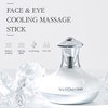 Wellderma Face & Eye Cooling Massage Stick