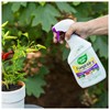 Garden Safe Fungicide, Prevents Fungal Diseases, Controls Black Spot, Rust