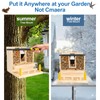 Intoo Lifes Squirrel Feeder Case for Outside, Durable Wooden Squirrel