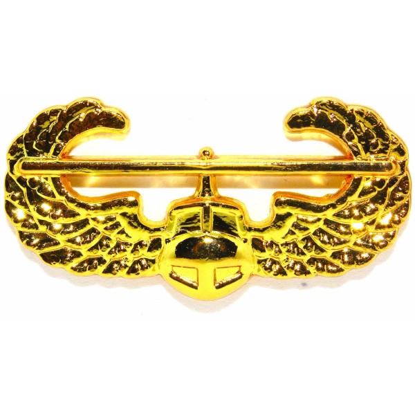 US Army The Air Assault GOLD Wings Pin Badge The