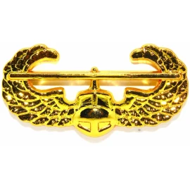 US Army The Air Assault GOLD Wings Pin Badge The Air Assault Pin Insignia