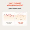 KLAVUU Real Vegan Collagen Eye Patches (60 Patches) - Korean