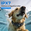 RPZ Dog Shock Collar 2 Dogs with Remote, 3300FT Dog