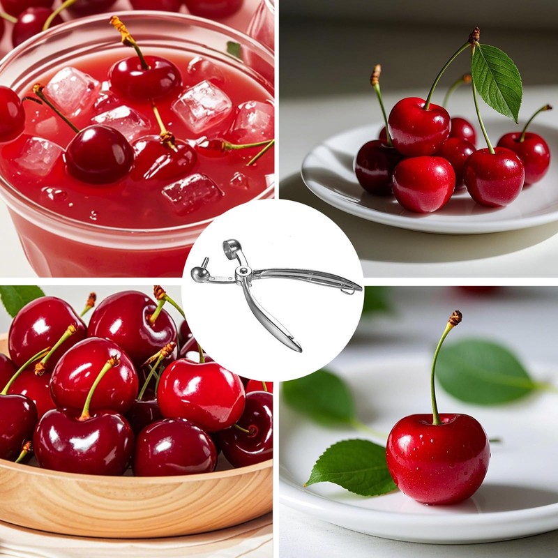 Cherry Pitter,Cherry Pitter or Stoner,Aluminum Alloy Hand Cherry Stone Remover