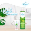 Shampoo y tónico de bergamota | detiene la caída de