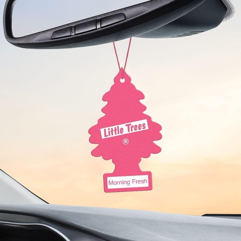 LITTLE TREES Car Air Freshener | Hanging Paper Tree for