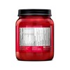 BSN N.O.-XPLODE Pre Workout Powder, Energy Supplement for Men and