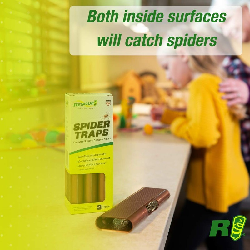 RESCUE! Spider Traps – Catches Brown Recluse, Hobo Spiders, Black