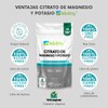 Wellthy Citrato de Potasio y Citrato de Magnesio 220 Cápsulas.