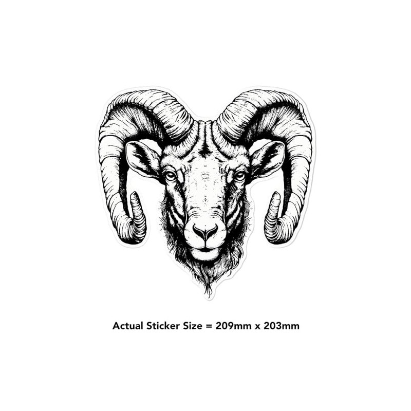 Medium 210mm 'Ram Head ' Clear Static Window Cling Sticker/Decal