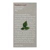 Love Tea Raspberry Leaf Loose Leaf Tea, 50g