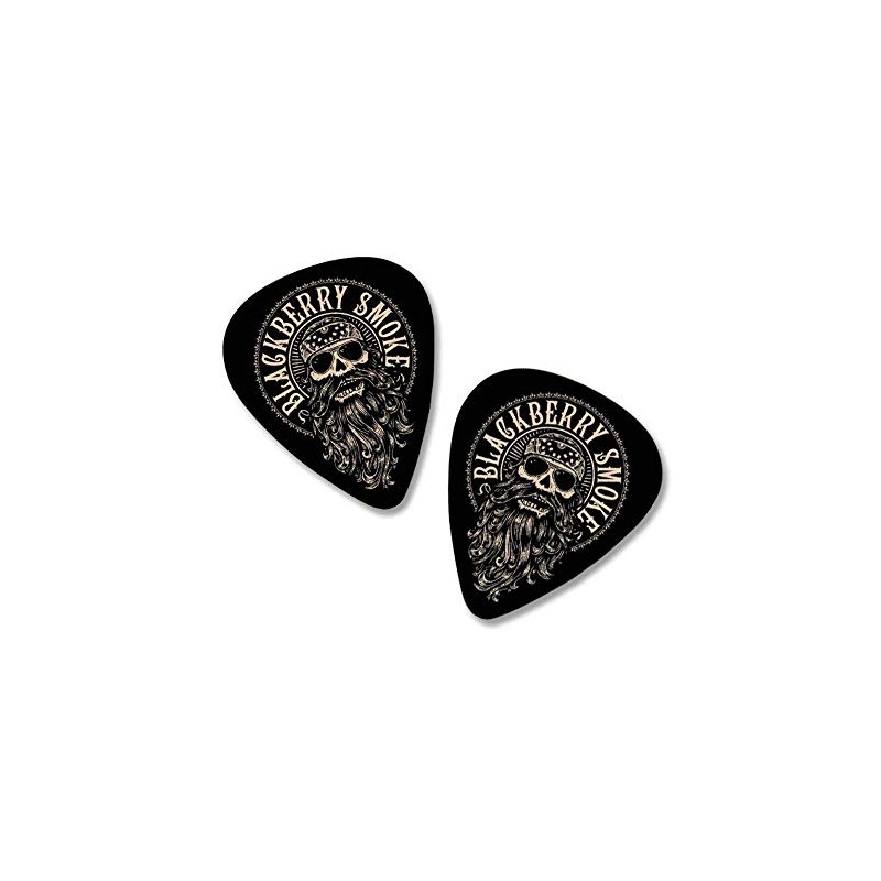 Beard Guitar Pick Set