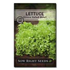 Sow Right Seeds - Lettuce Seed Collection for Planting - Buttercrunch, Great Lakes, Salad Bowl, and Lolla Rosa Varieties Non-GMO Heirloom Seeds to Plant a Home Vegetable Garden