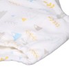 2PCS Toddler Training Pants Pure Cotton Reusable Baby Training Underwear