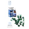 Beuta Okaliptus Yağı% 100 Doğal 20 ml
