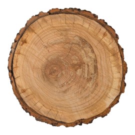 Pebbles Warm And Cozy Collection 12 X 12 Die Cut Paper Tree Trunk