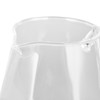 600ml Hand Drip Coffee Glass Cup with Unique Eagle Beak