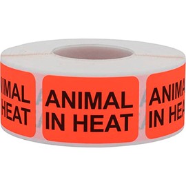 Animal in Heat Veterinary Labels 1 x 1.5 Inch 500 Total Stickers